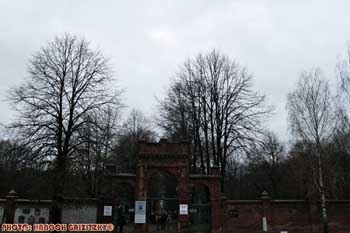 IMG_ (10126)